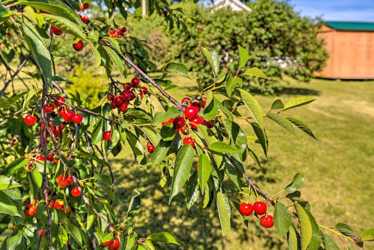 Finger Lakes Farm Retreat Walk To Wineries! Hector Exteriér fotografie