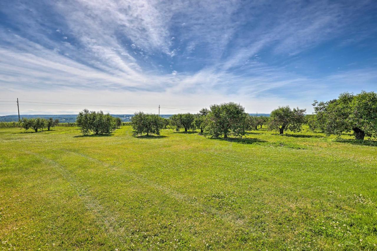 Finger Lakes Farm Retreat Walk To Wineries! Hector Exteriér fotografie