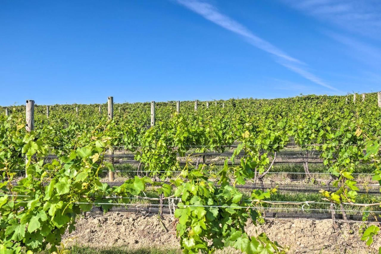 Finger Lakes Farm Retreat Walk To Wineries! Hector Exteriér fotografie
